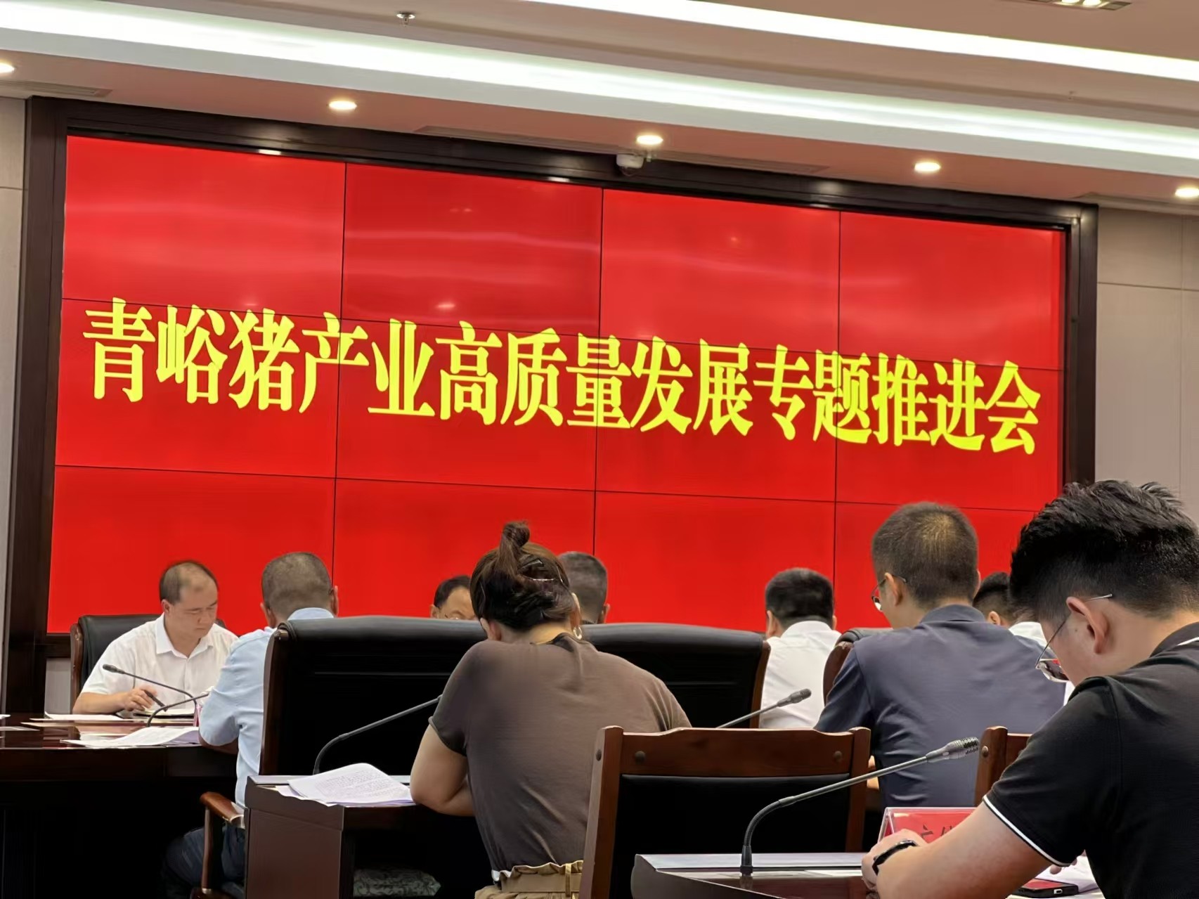 關(guān)于推動巴山牧業(yè)青峪豬產(chǎn)業(yè)高質(zhì)量發(fā)展的專題推進會