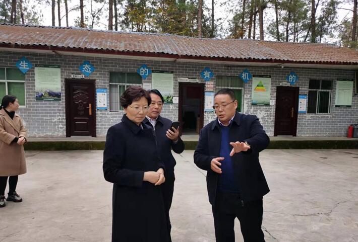 巴中市委常委，市委統(tǒng)戰(zhàn)部部長、市總工會主席溫奇志、通江縣縣委書記孫輝一行來公司調(diào)研