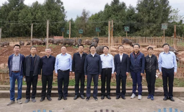 譚炯副行長一行重點走訪巴山牧業