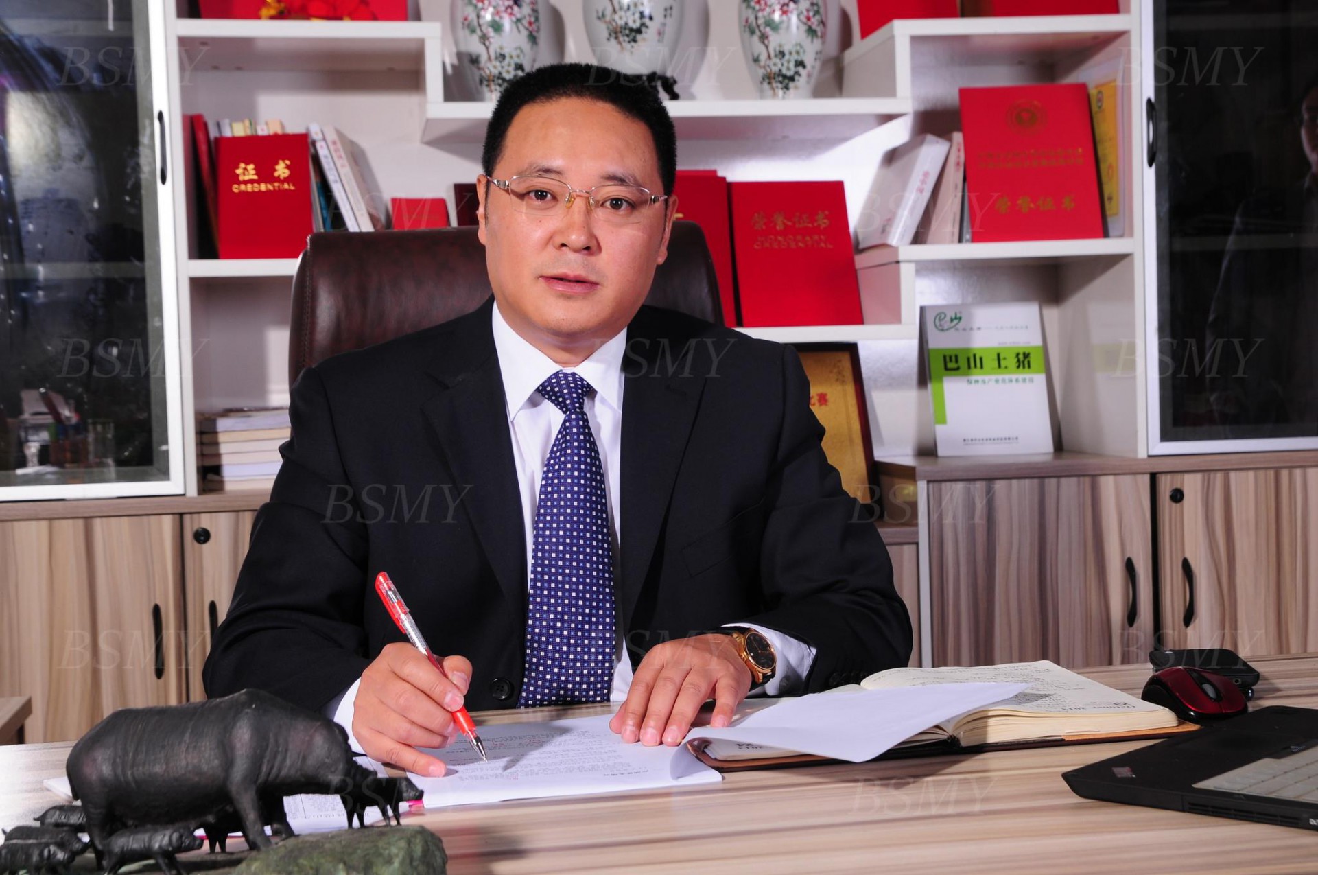 熱烈祝賀巴山牧業集團張育賢董事長榮獲四川省“四川杰出人才獎”